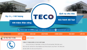 tecovietnam.com