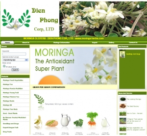 Thiết kế website moringa-vn.com